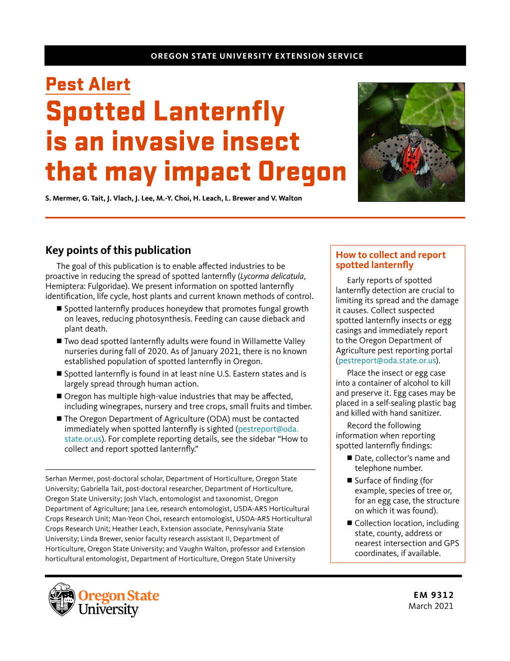 Spotted Lanternfly Is an Invasive Insect That May Impact Oregon S