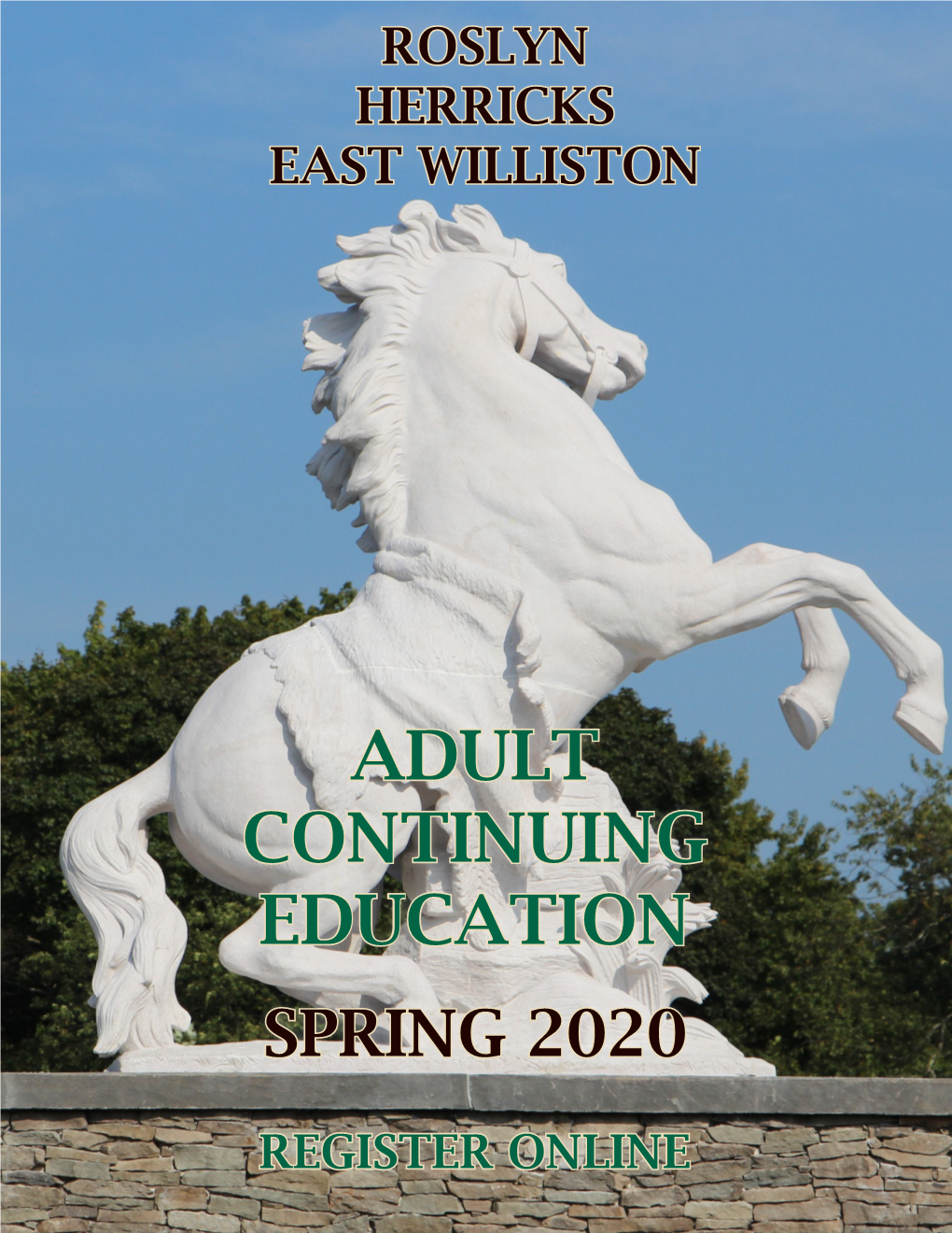 Adult Continuing Education Spring 2020