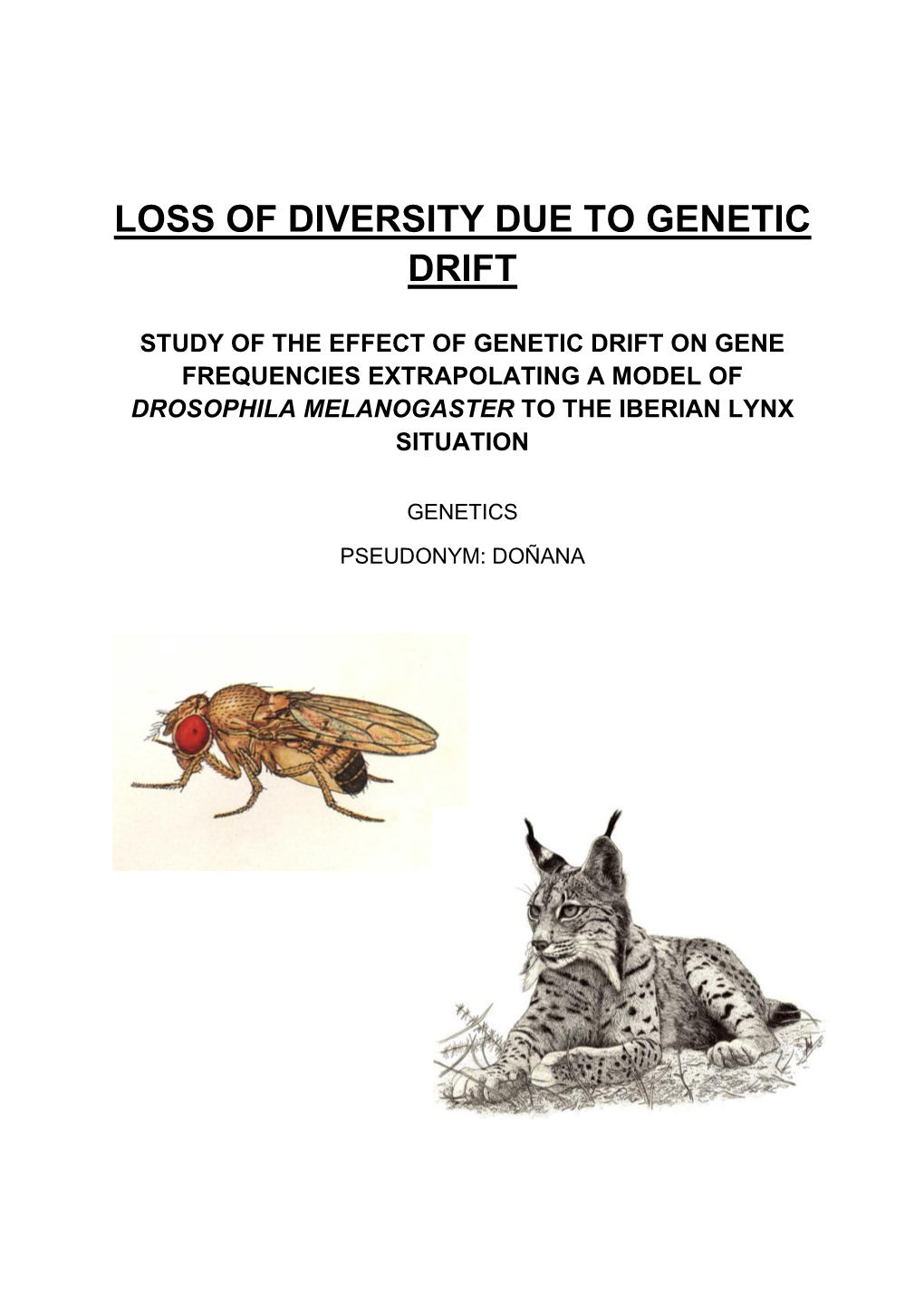 Loss of Diversity Due to Genetic Drift