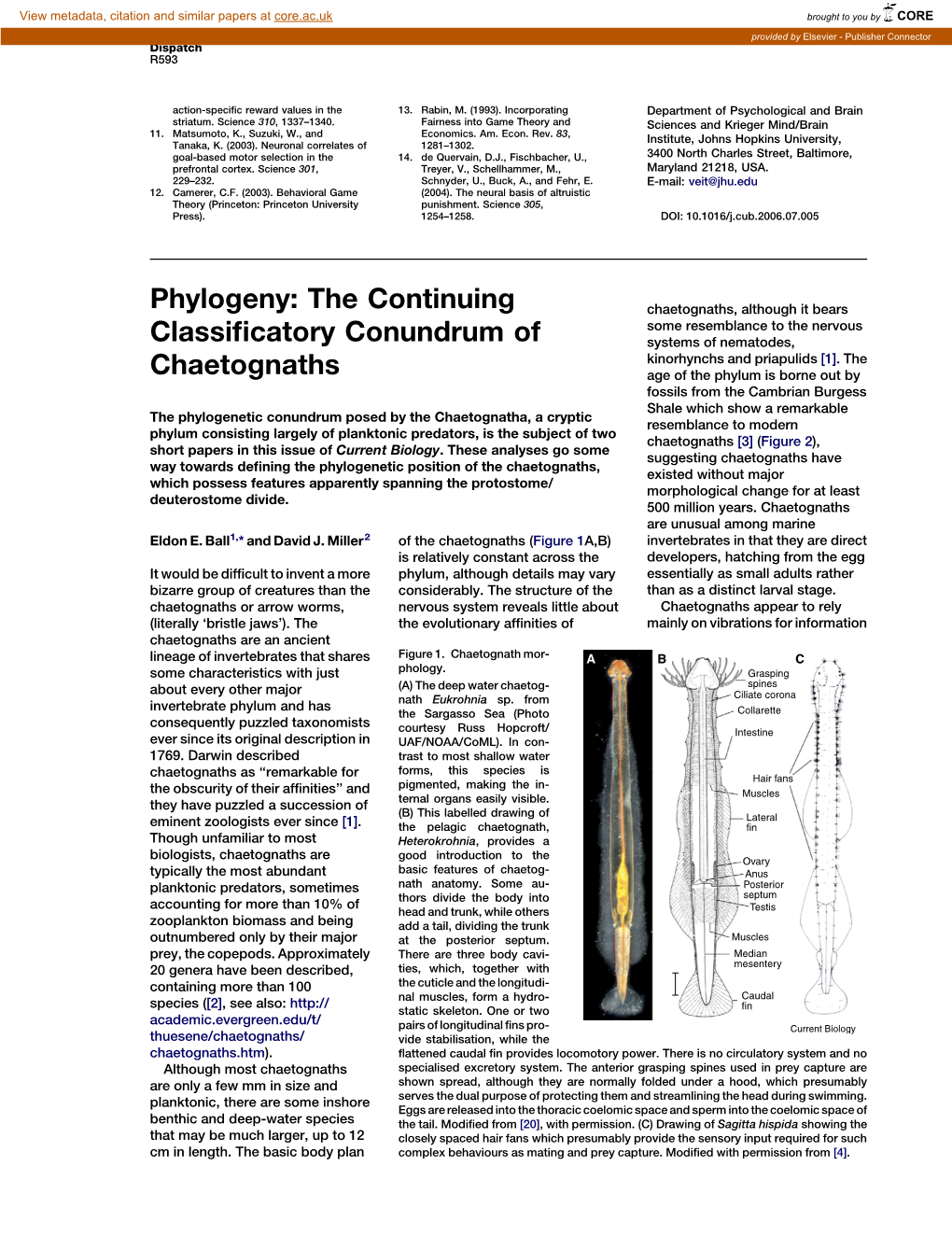 The Continuing Classificatory Conundrum of Chaetognaths