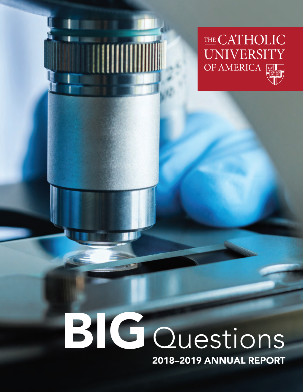 BIG Questions 2018-2019 ANNUAL REPORT