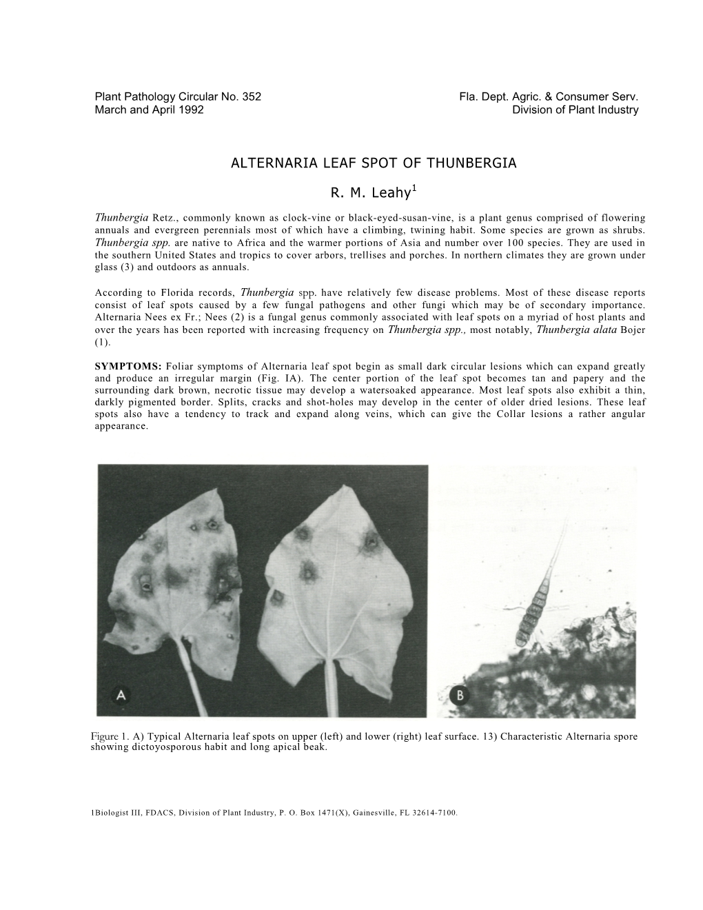 ALTERNARIA LEAF SPOT of THUNBERGIA R. M. Leahy1