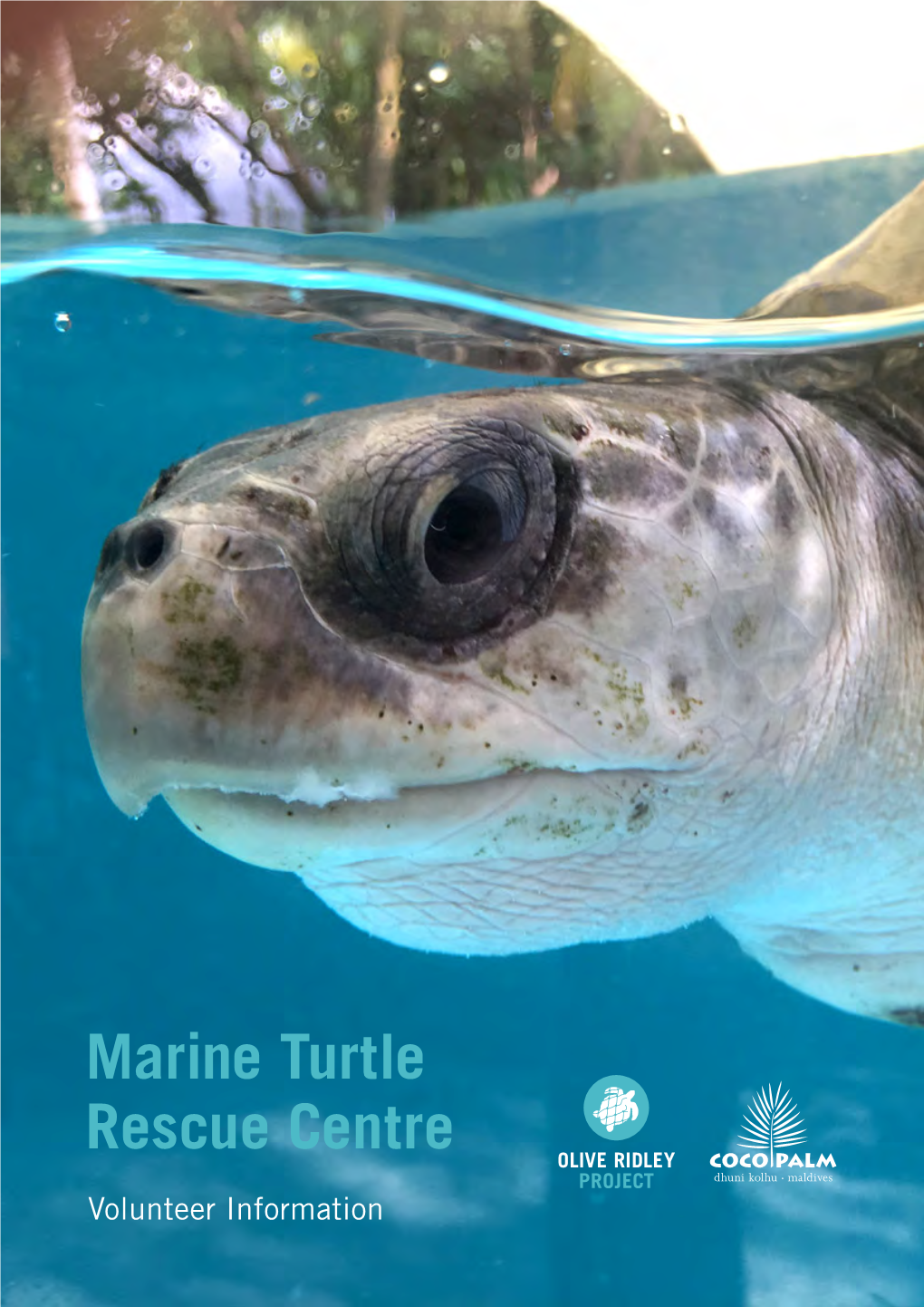Marine Turtle Rescue Centre