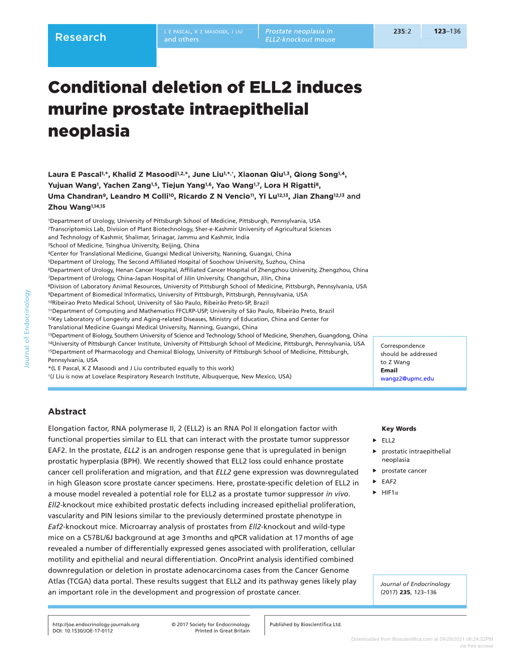 Conditional Deletion of ELL2 Induces Murine Prostate Intraepithelial Neoplasia