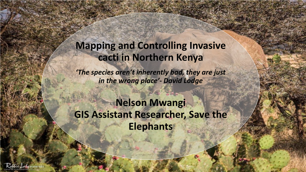 Mapping and Controlling Invasive Cacti in Northern Kenya Nelson Mwangi GIS Assistant Researcher, Save the Elephants