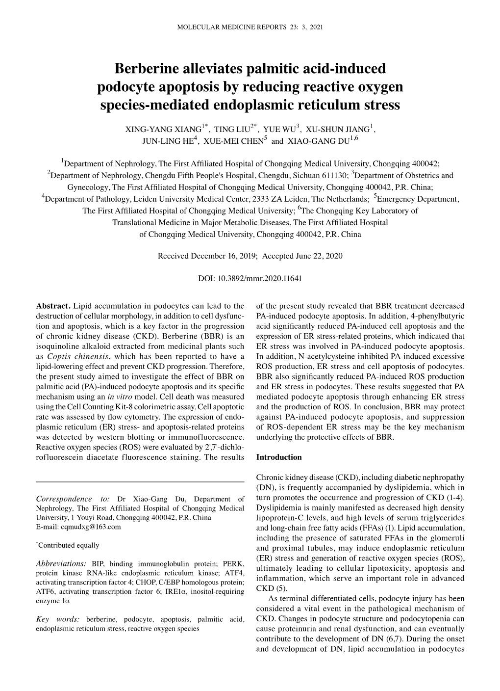 Berberine Alleviates Palmitic Acid‑Induced Podocyte Apoptosis by Reducing Reactive Oxygen Species‑Mediated Endoplasmic Reticulum Stress