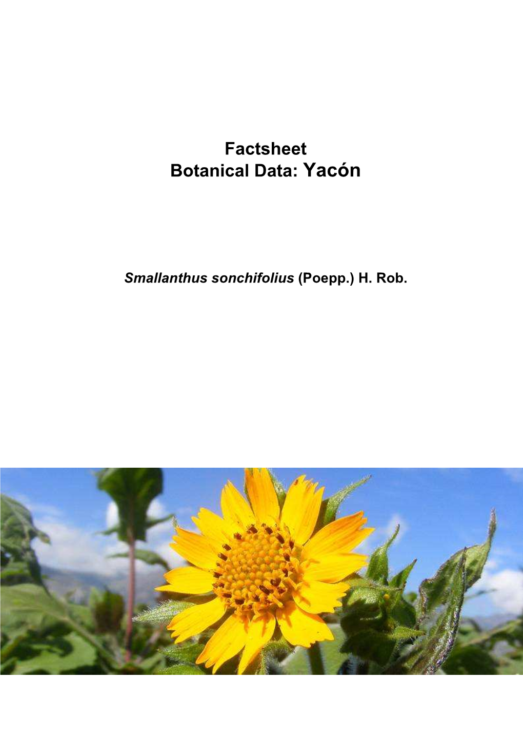 Factsheet Botanical Data: Yacón