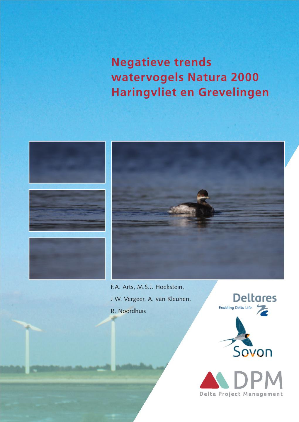 Negatieve Trends Watervogels Natura 2000 Haringvliet En Grevelingen