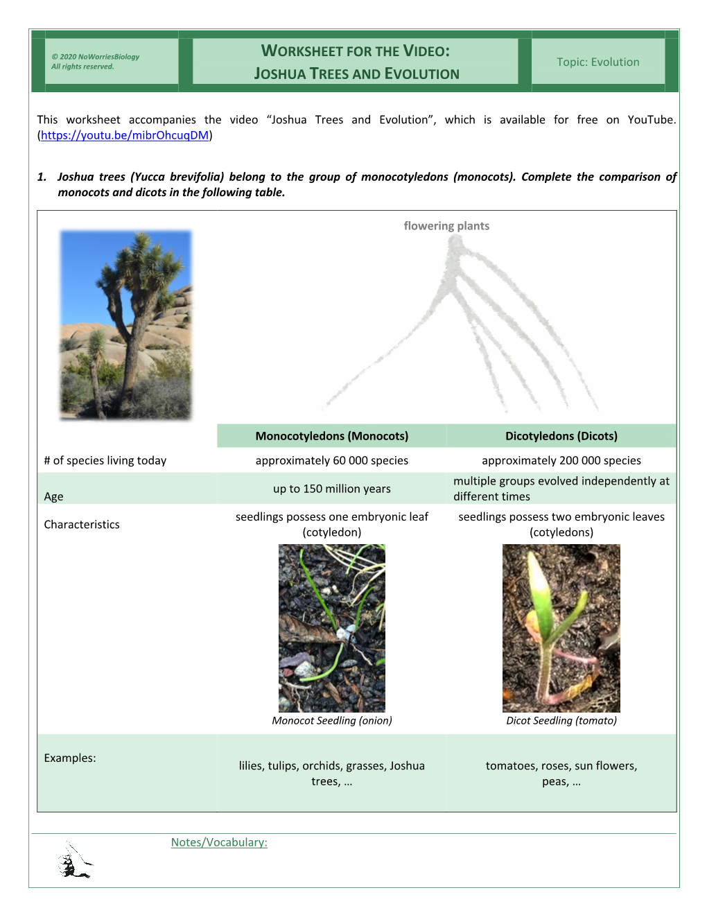 Worksheet for the Video: Joshua Trees and Evolution