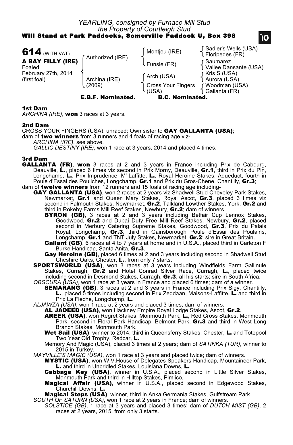 YEARLING, Consigned by Furnace Mill Stud the Property of Courtleigh Stud Will Stand at Park Paddocks, Somerville Paddock U, Box 398