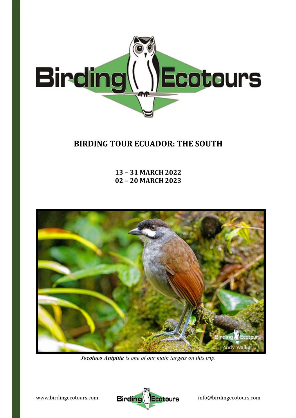 Birding Tour Ecuador: the South