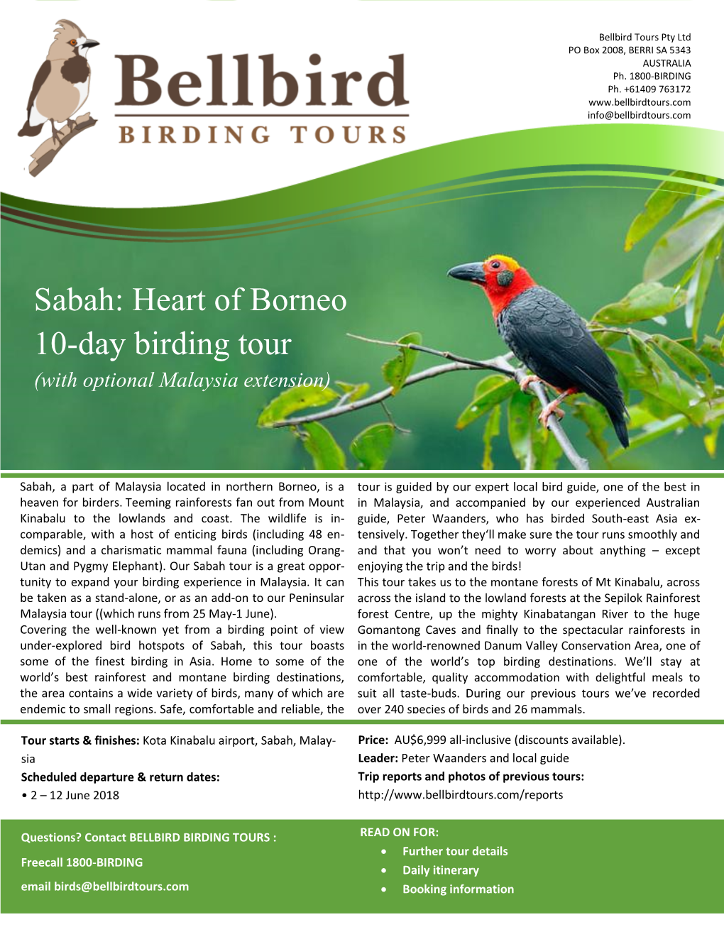 Sabah: Heart of Borneo 10-Day Birding Tour