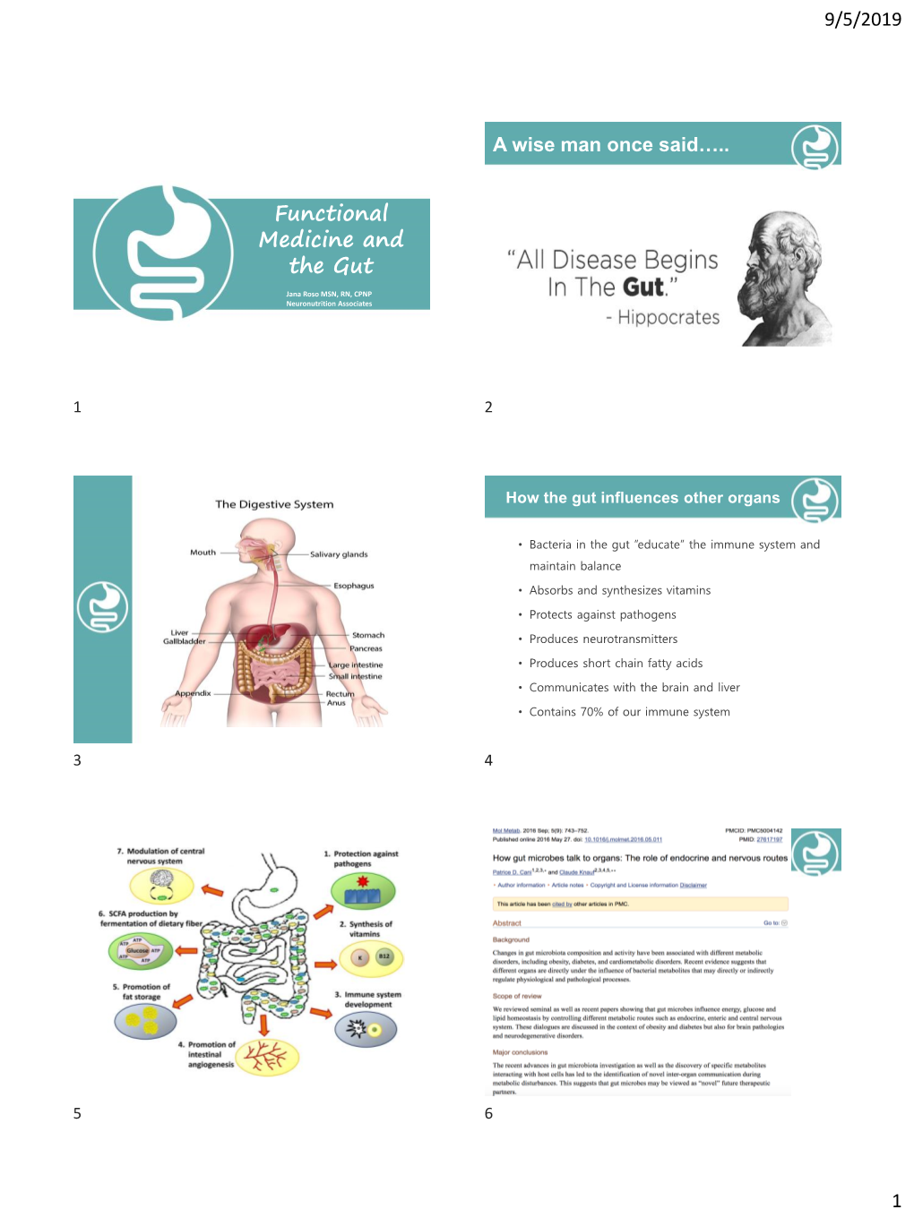 Functional Medicine and the Gut