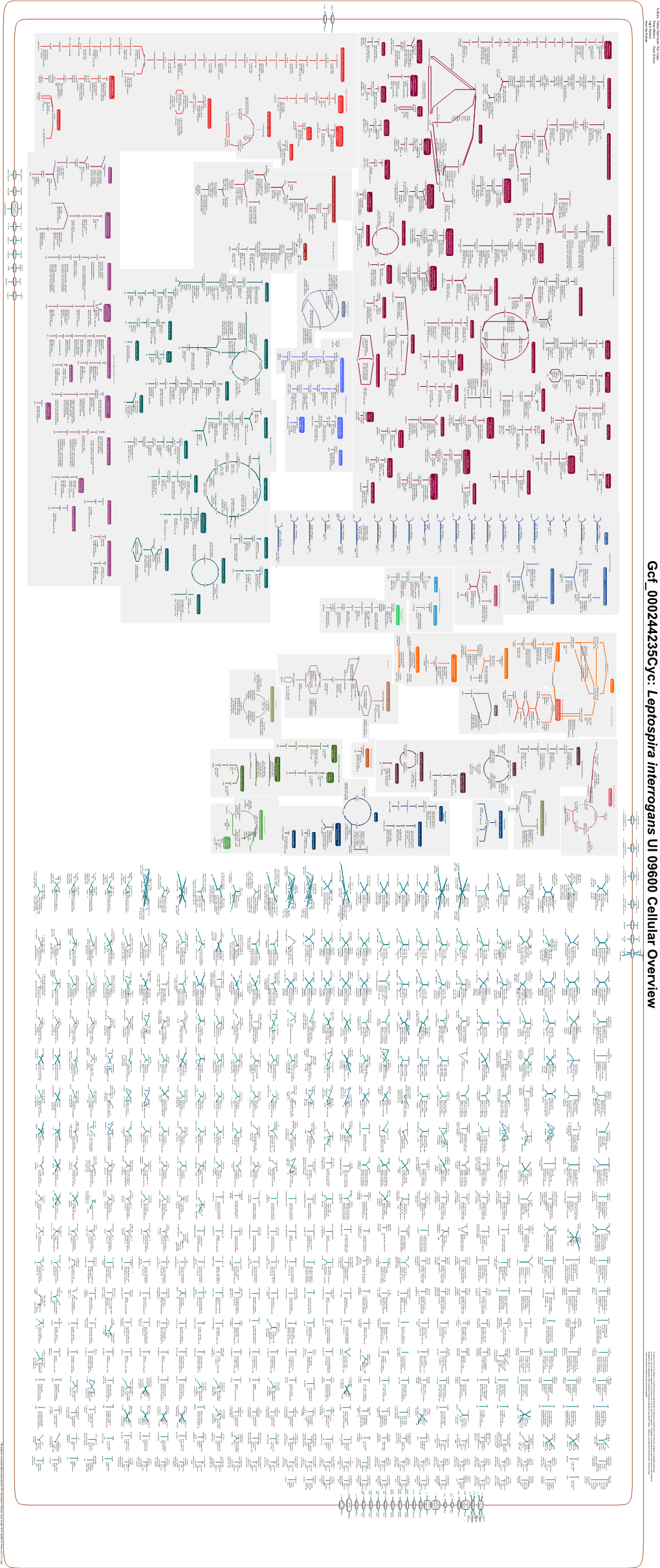 Generated by SRI International Pathway Tools Version 25.0, Authors S