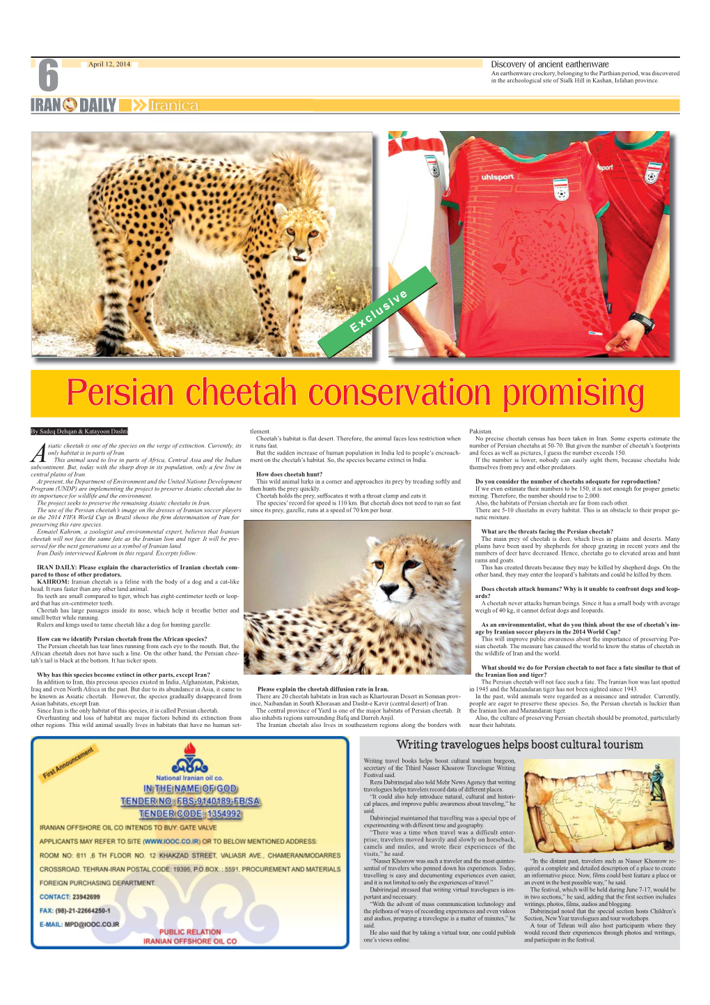 Persian Cheetah Conservation Promising