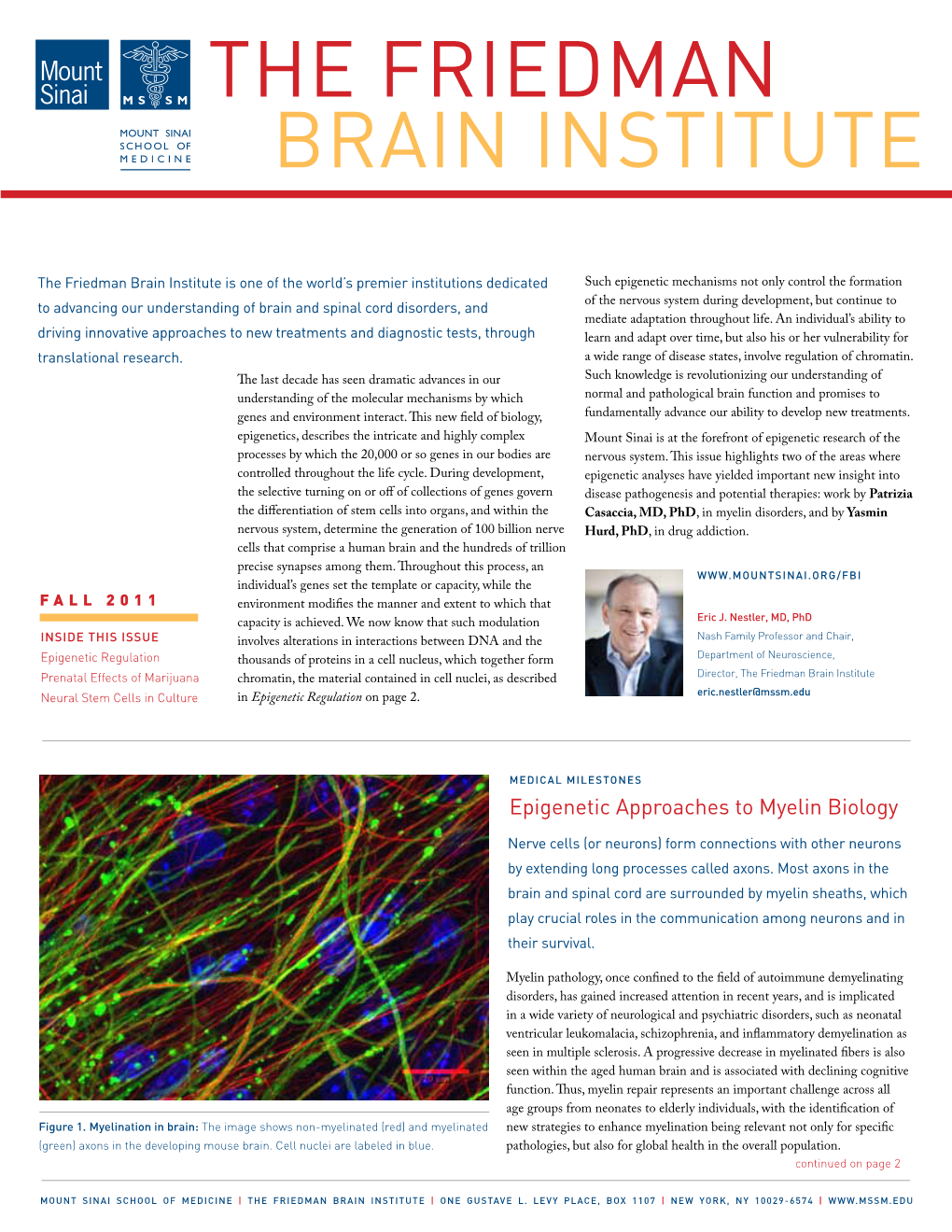 The Friedman Brain Institute