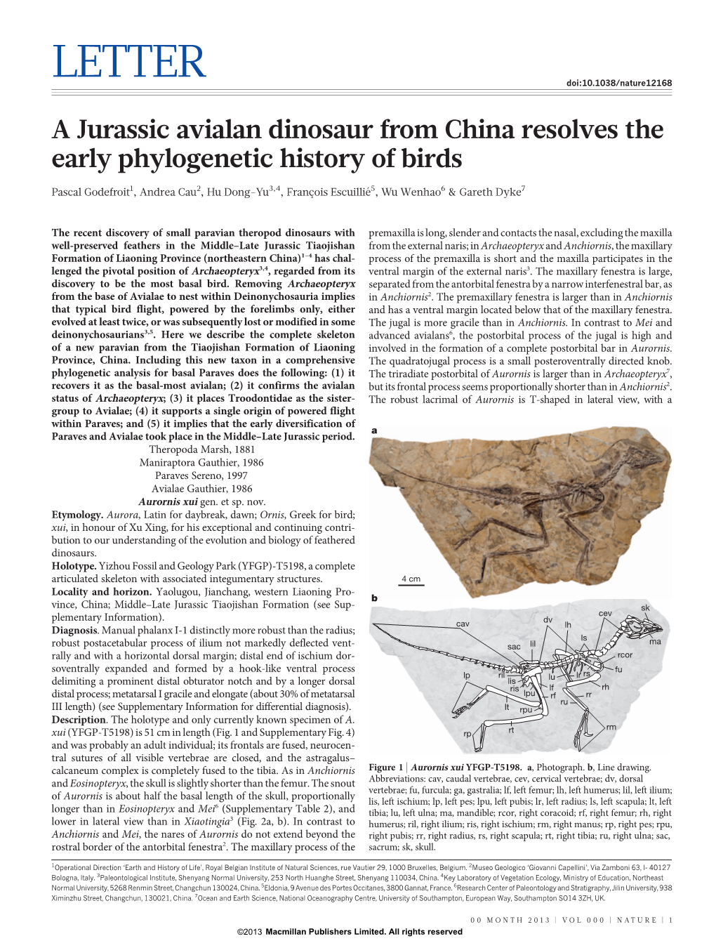 A Jurassic Avialan Dinosaur from China Resolves the Early Phylogenetic History of Birds