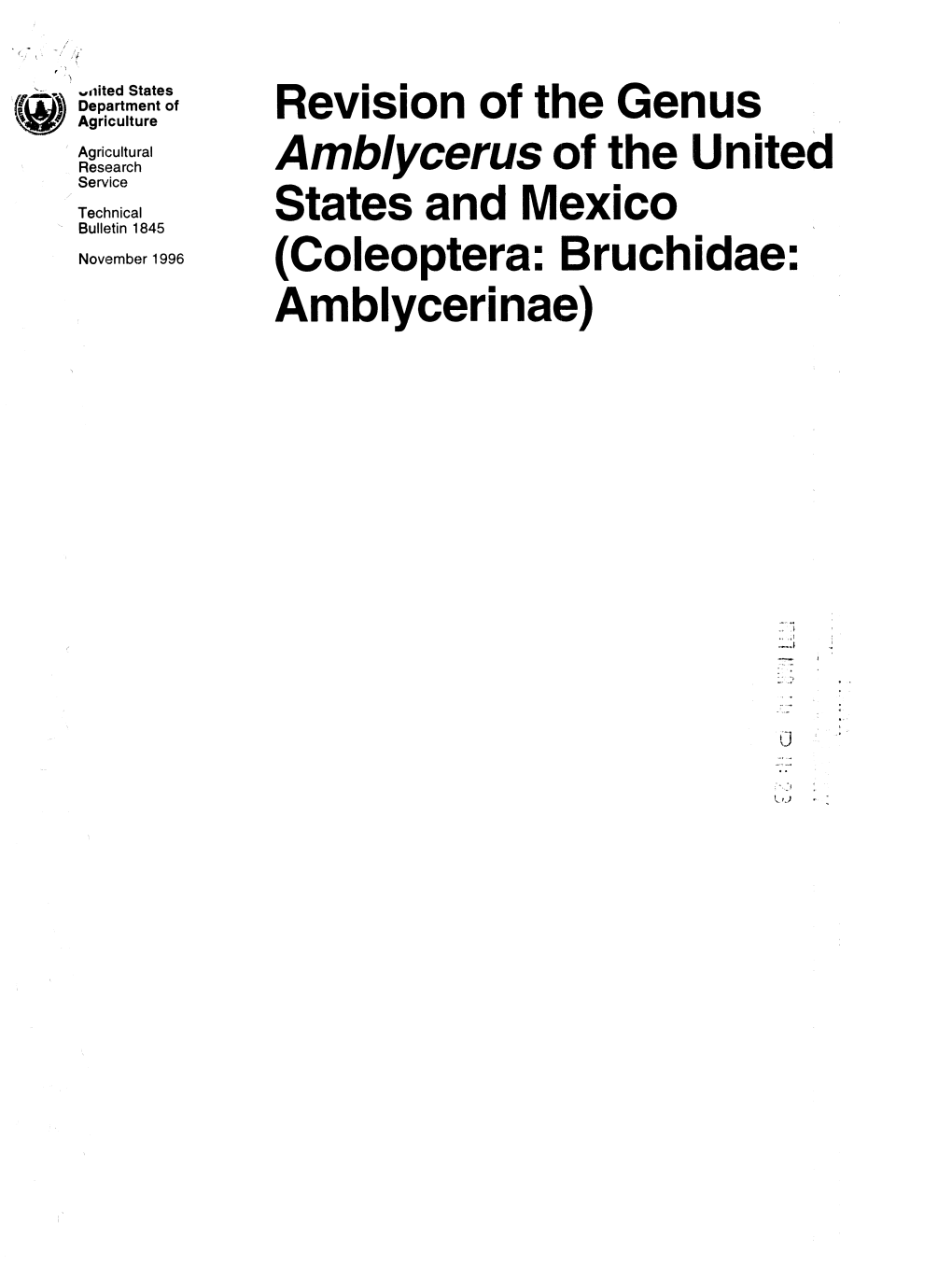 Revision of Tlie Genus Amblycerus of the United States and Iviexico