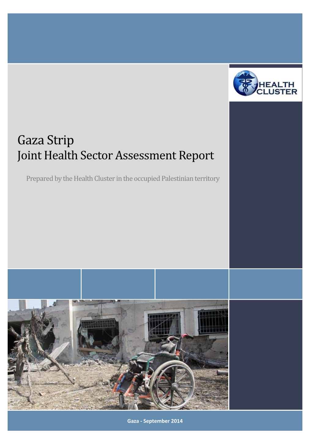 Gaza Strip Joint Health Sector Assessment Report