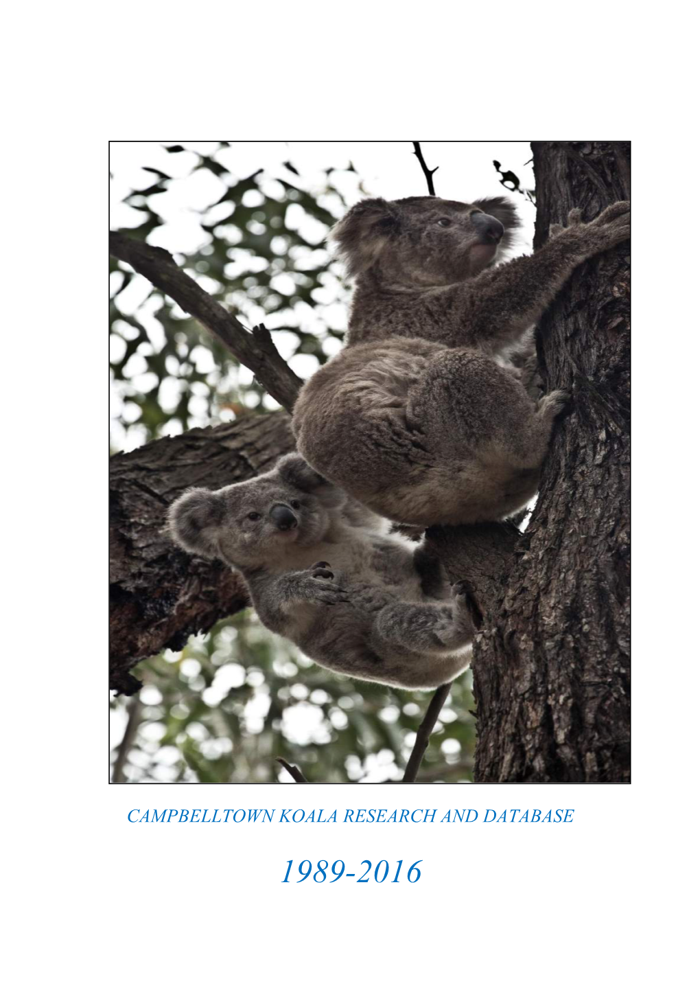 Campbelltown Koala Research and Database