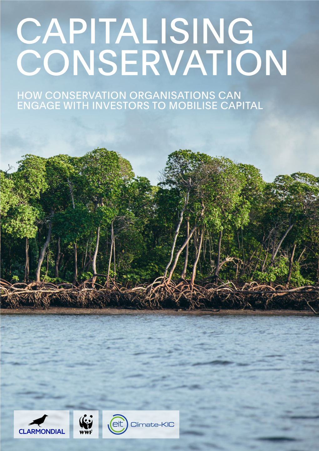 Capitalising Conservation How Conservation Organisations Can Engage with Investors to Mobilise Capital