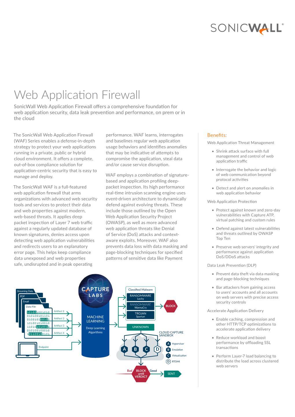 Web Application Firewall