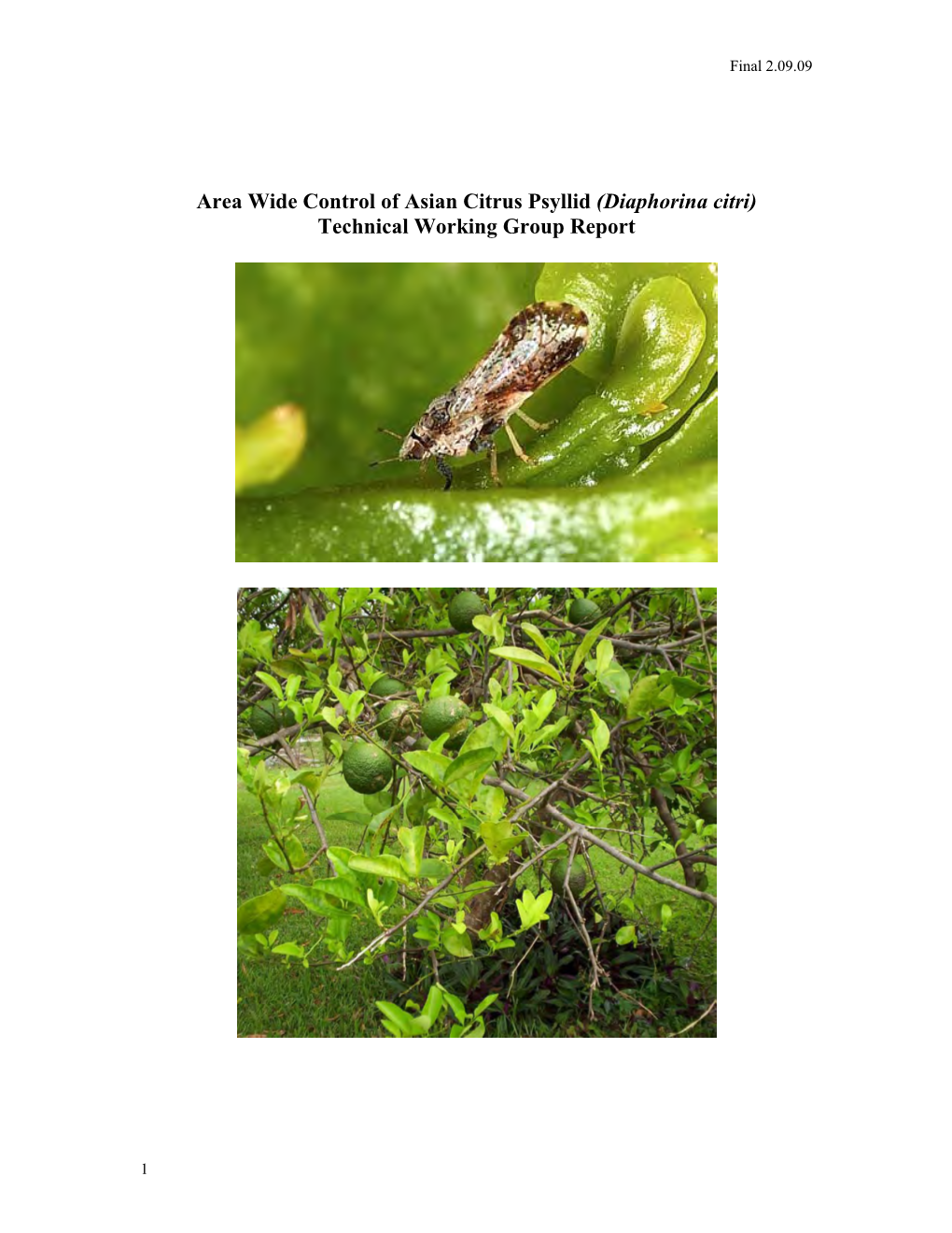 Psyllid Area Wide Control Technical Working Group Report 12/5/2008