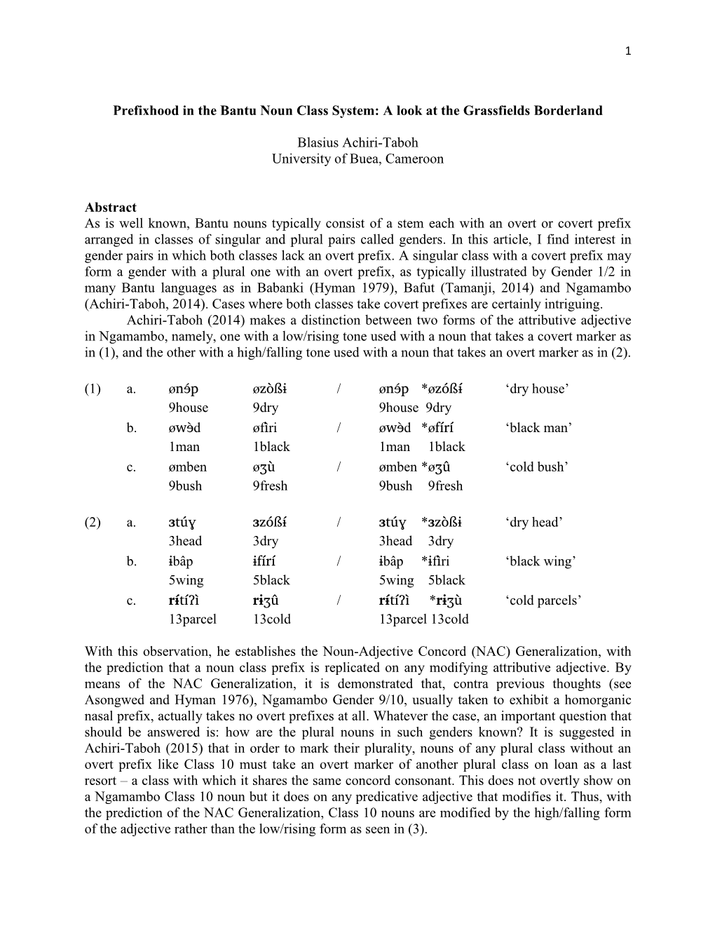 Prefixhood in the Bantu Noun Class System: a Look at the Grassfields Borderland