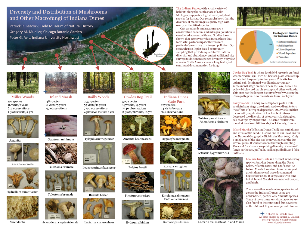 Diversity and Distribution of Mushrooms and Other Macrofungi