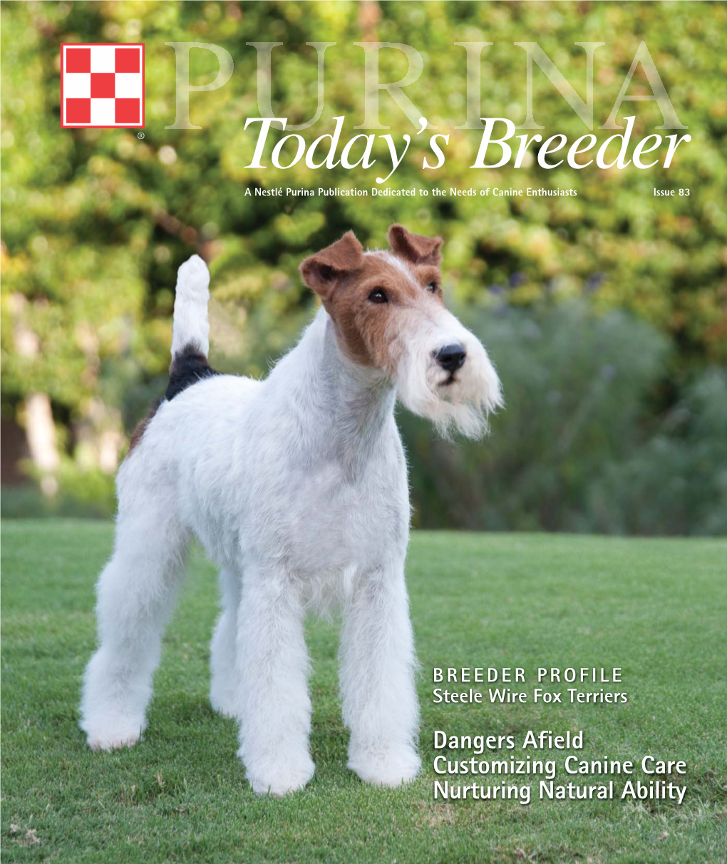 BREEDER PROFILE Steele Wire Fox Terriers