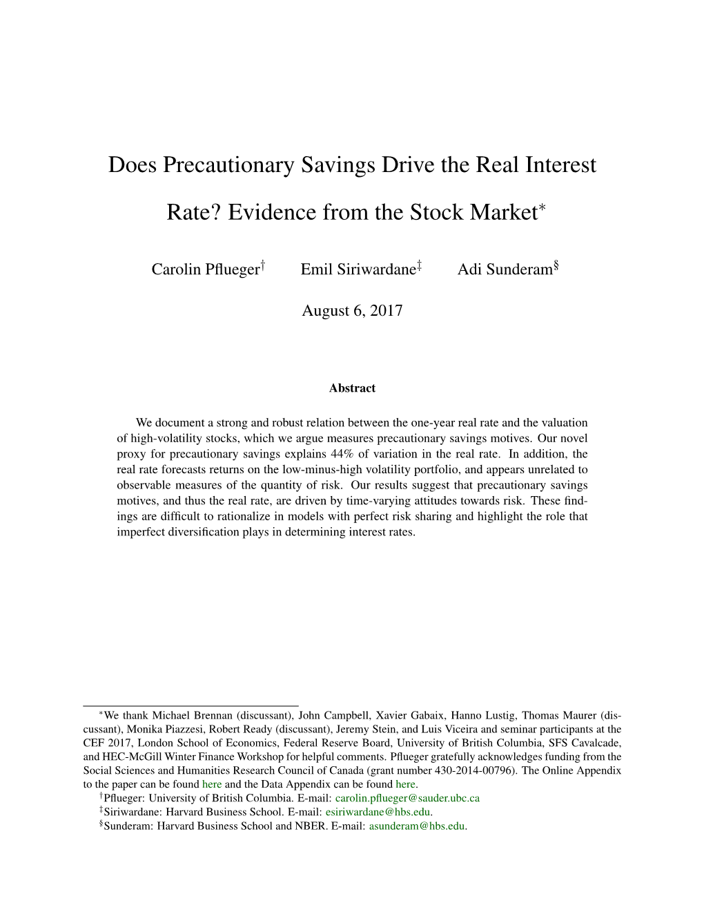 Does Precautionary Savings Drive the Real Interest Rate? Evidence from the Stock Market∗