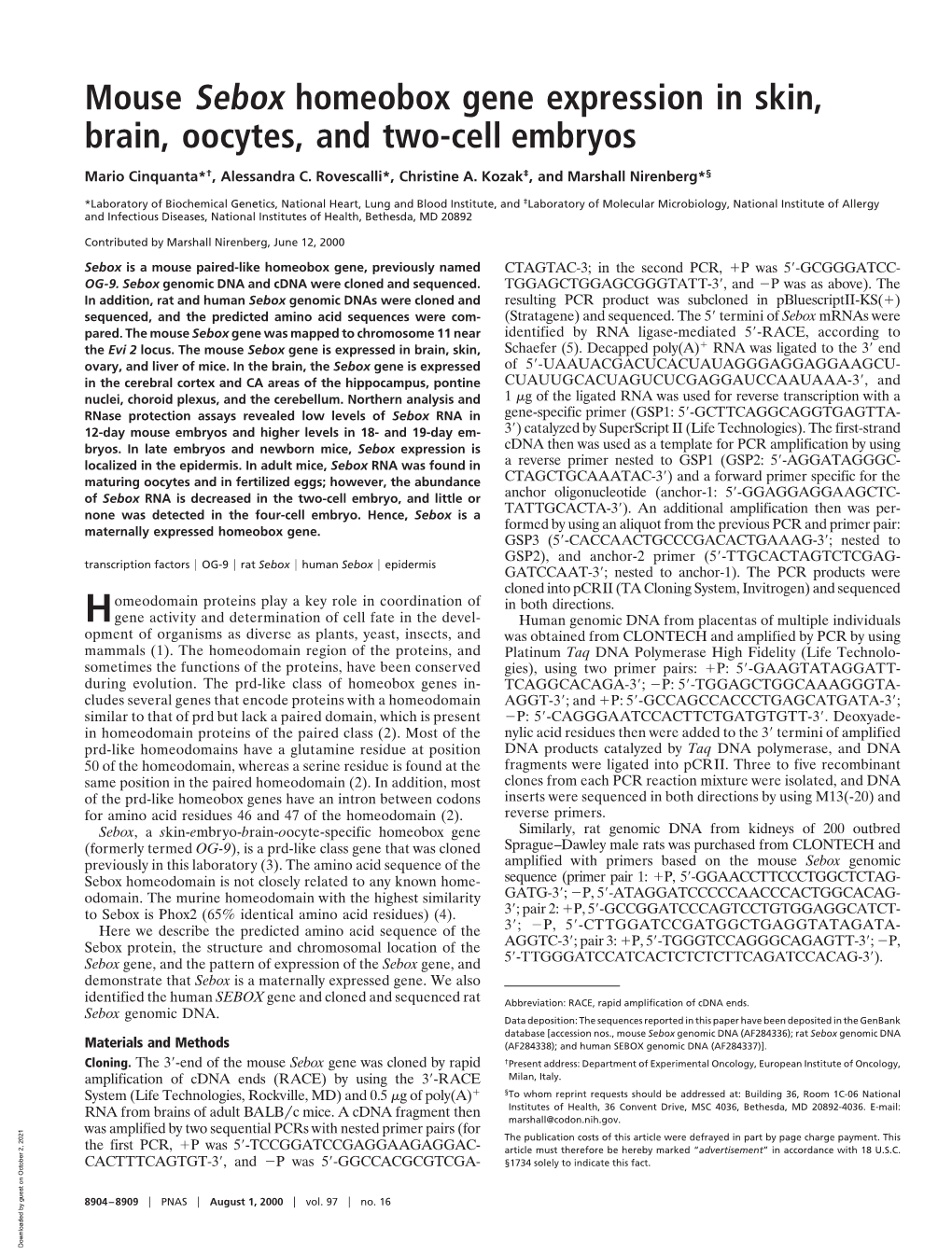 Mouse Sebox Homeobox Gene Expression in Skin, Brain, Oocytes, and Two-Cell Embryos