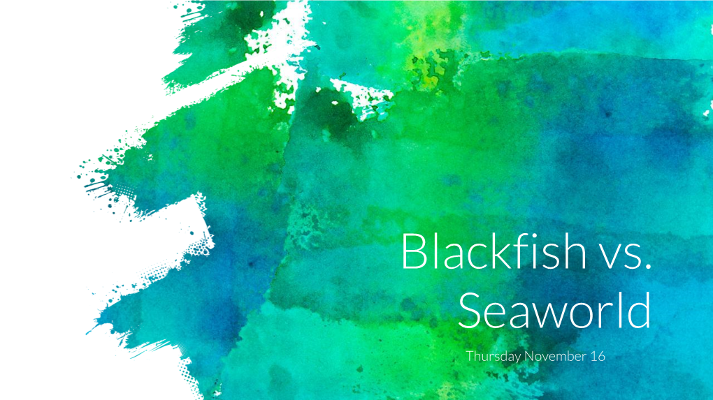 Blackfish Vs. Seaworld Thursday November 16 1