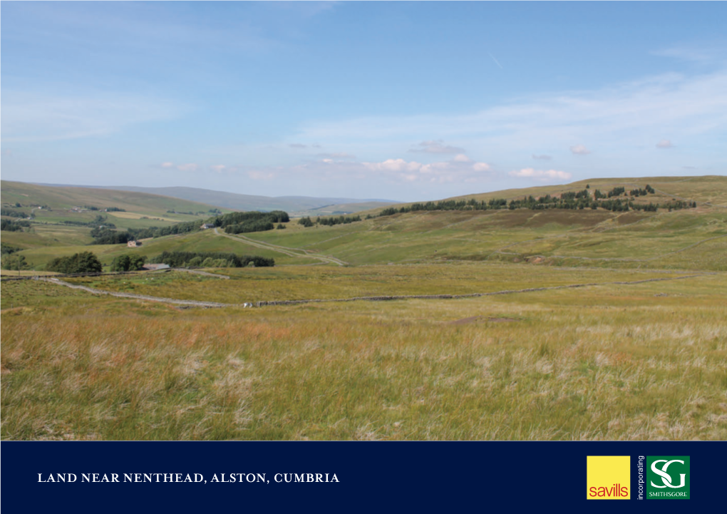 Land Near Nenthead, Alston, Cumbria