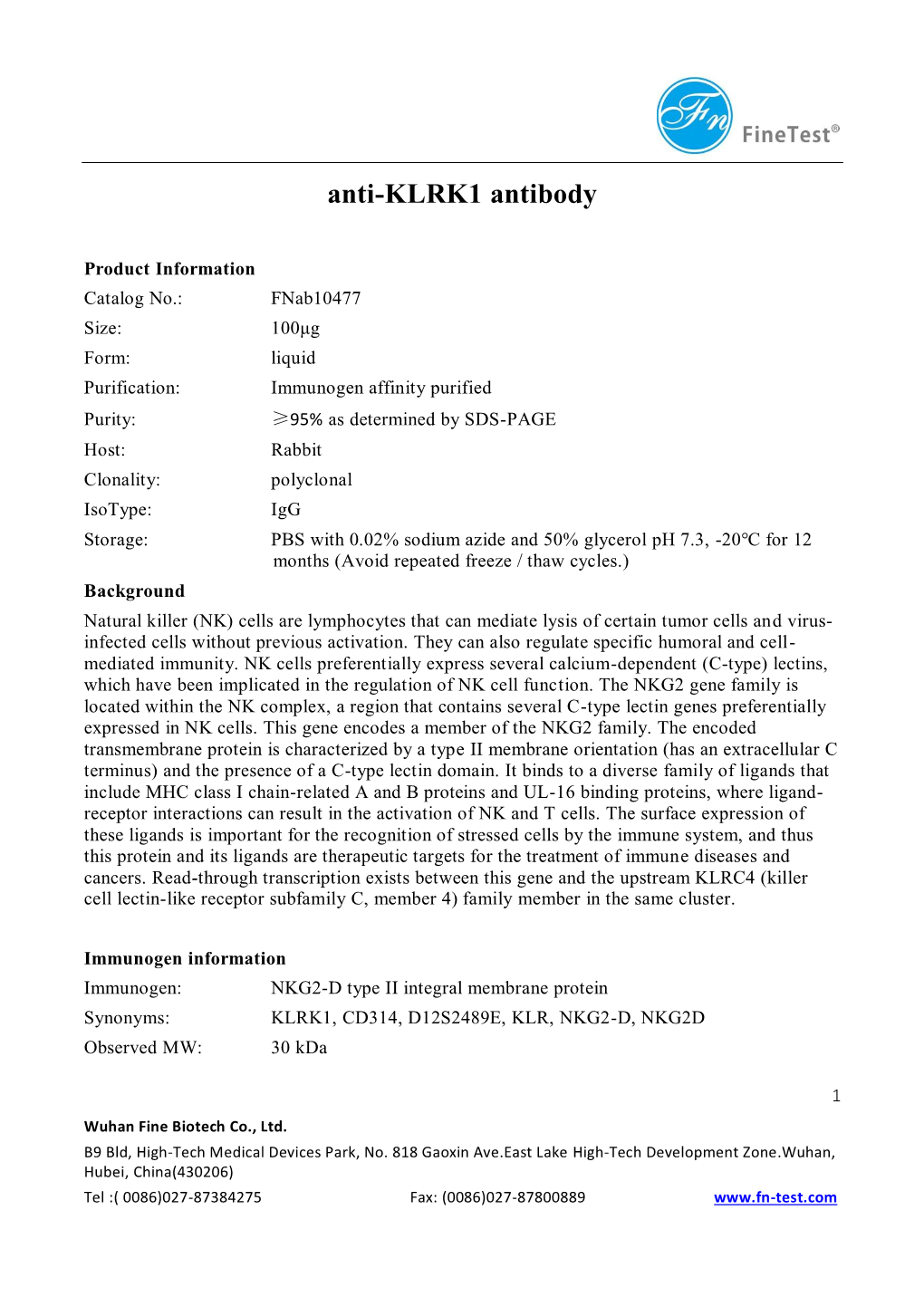 Anti-KLRK1 Antibody