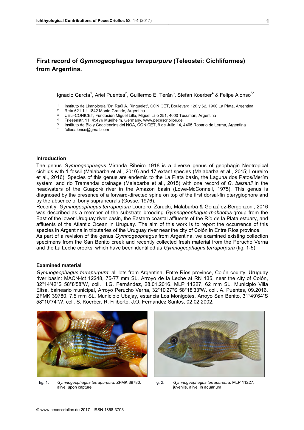 First Record of Gymnogeophagus Terrapurpura (Teleostei: Cichliformes) from Argentina