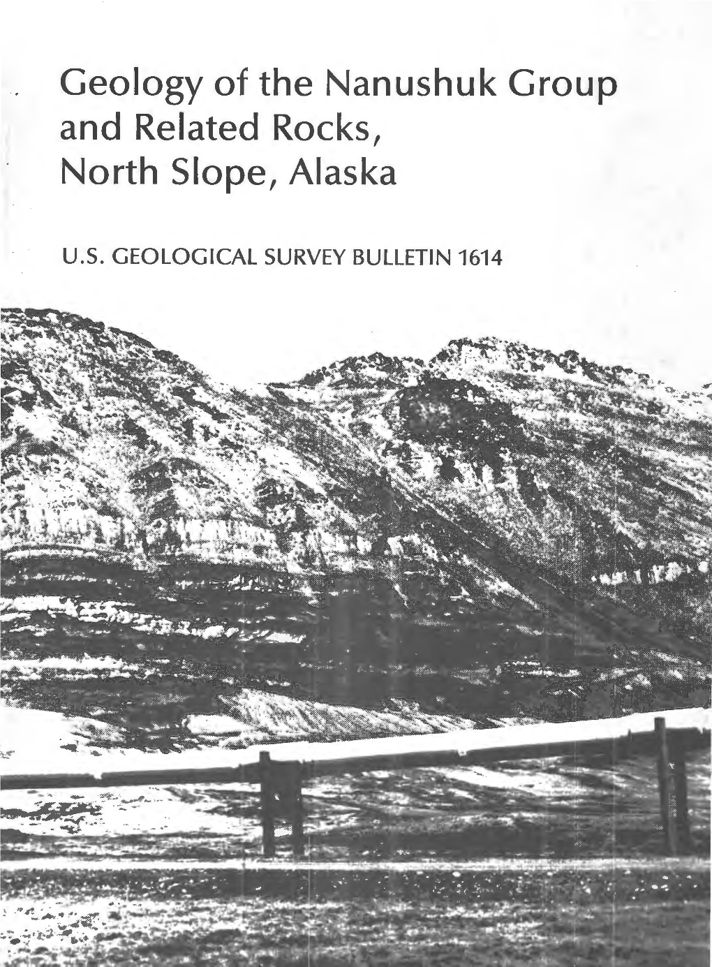 Geology of the Nanushuk Group and Related Rocks, North Slope, Alaska