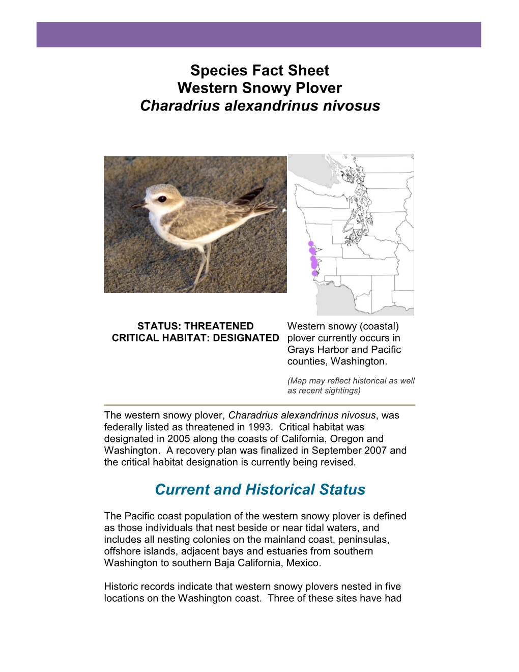 Species Fact Sheet Western Snowy Plover Charadrius Alexandrinus Nivosus