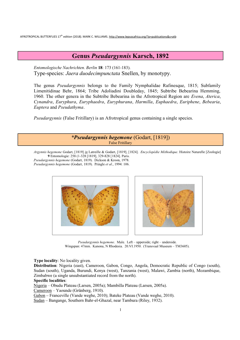 225 Genus Pseudargynnis Karsch