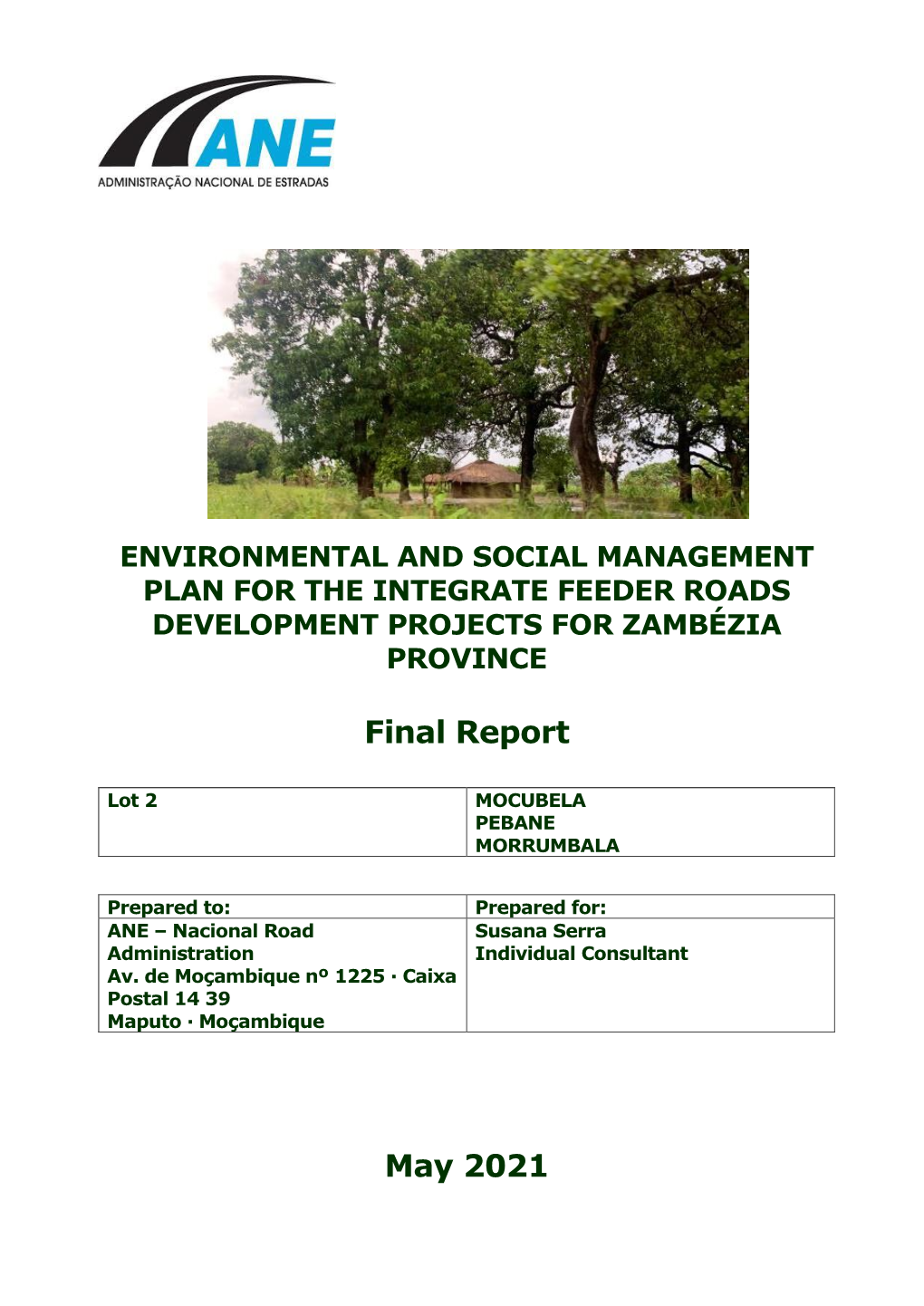 Final Report May 2021