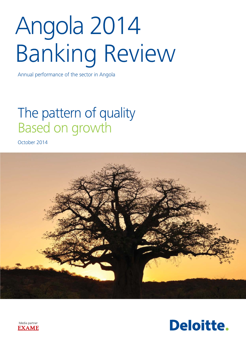 Angola 2014 Banking Review Annual Performance of the Sector in Angola