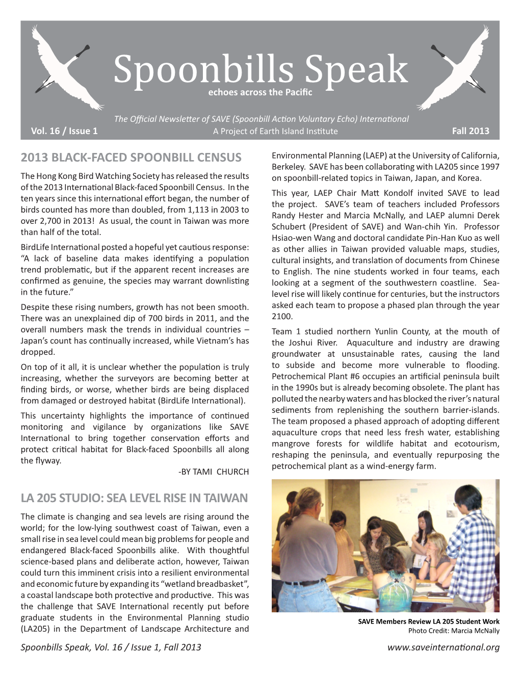 Spoonbills Speak Echoes Across the Pacific