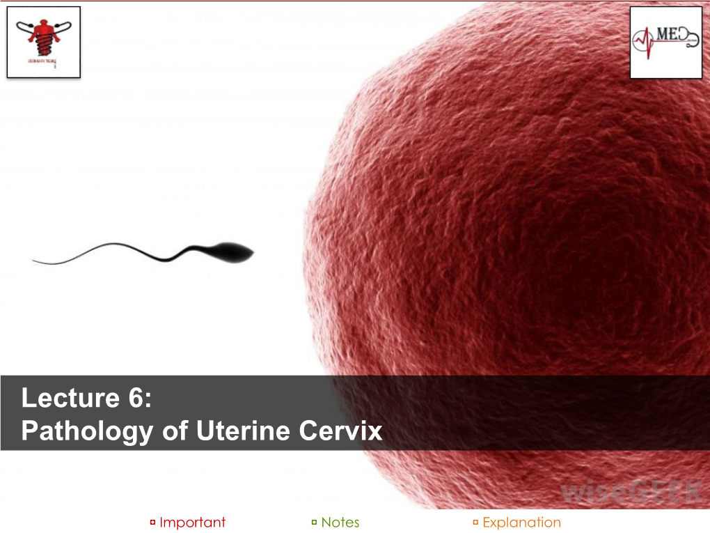 Pathology of Uterine Cervix