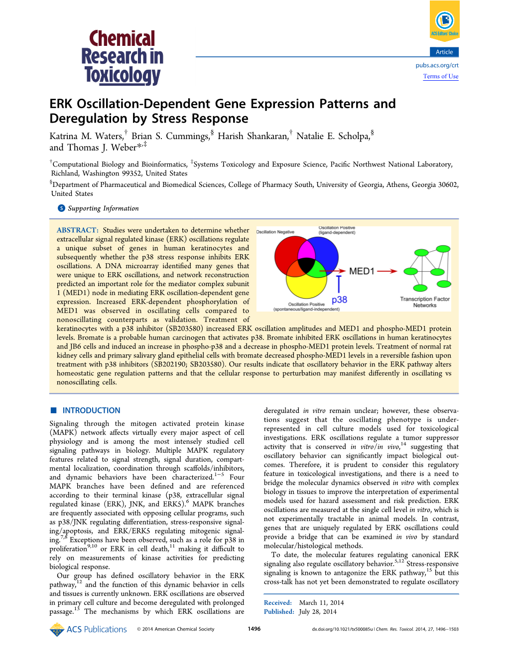 ERK Oscillation-Dependent Gene Expression Patterns and Deregulation by Stress Response † § † § Katrina M