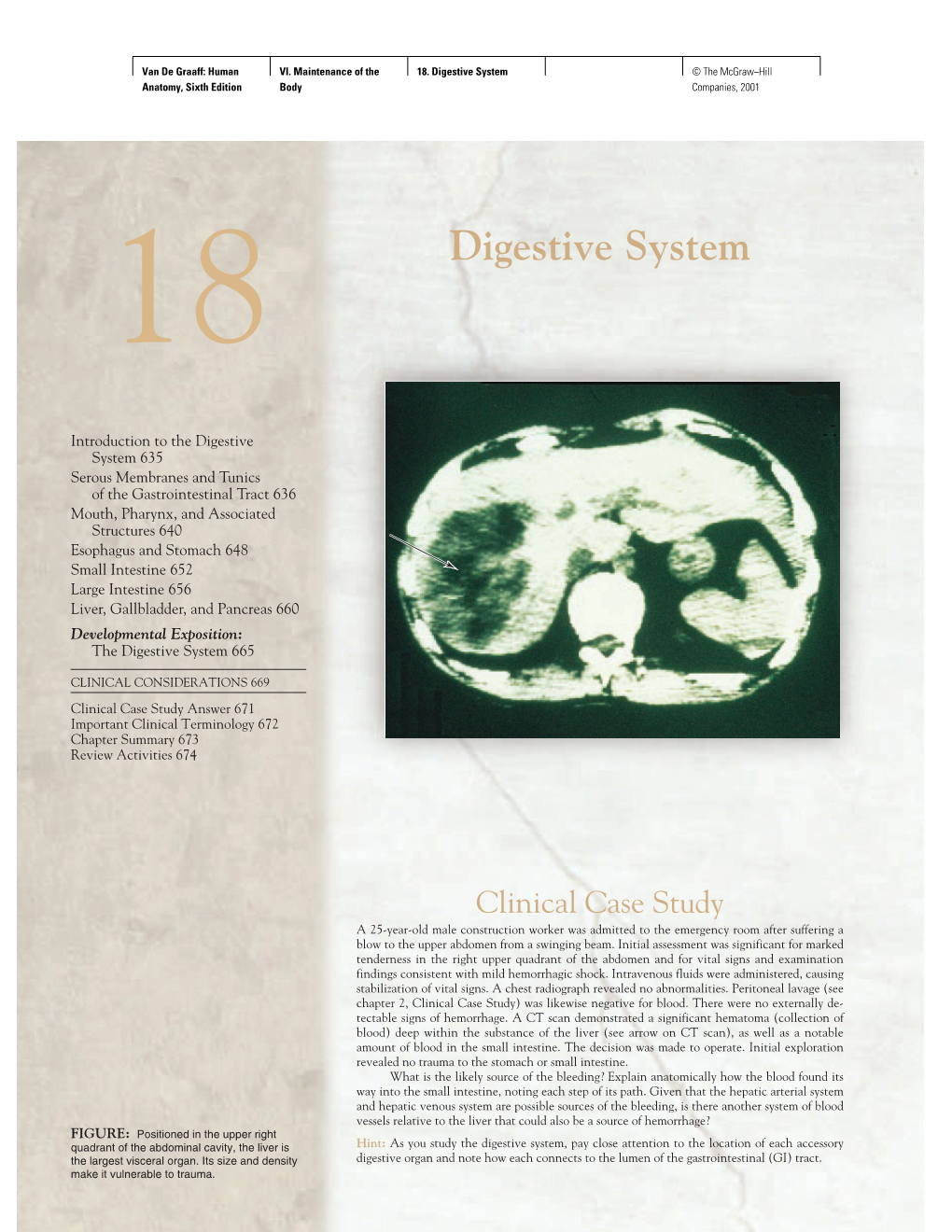 Digestive System © the Mcgraw−Hill Anatomy, Sixth Edition Body Companies, 2001 18 Digestive System