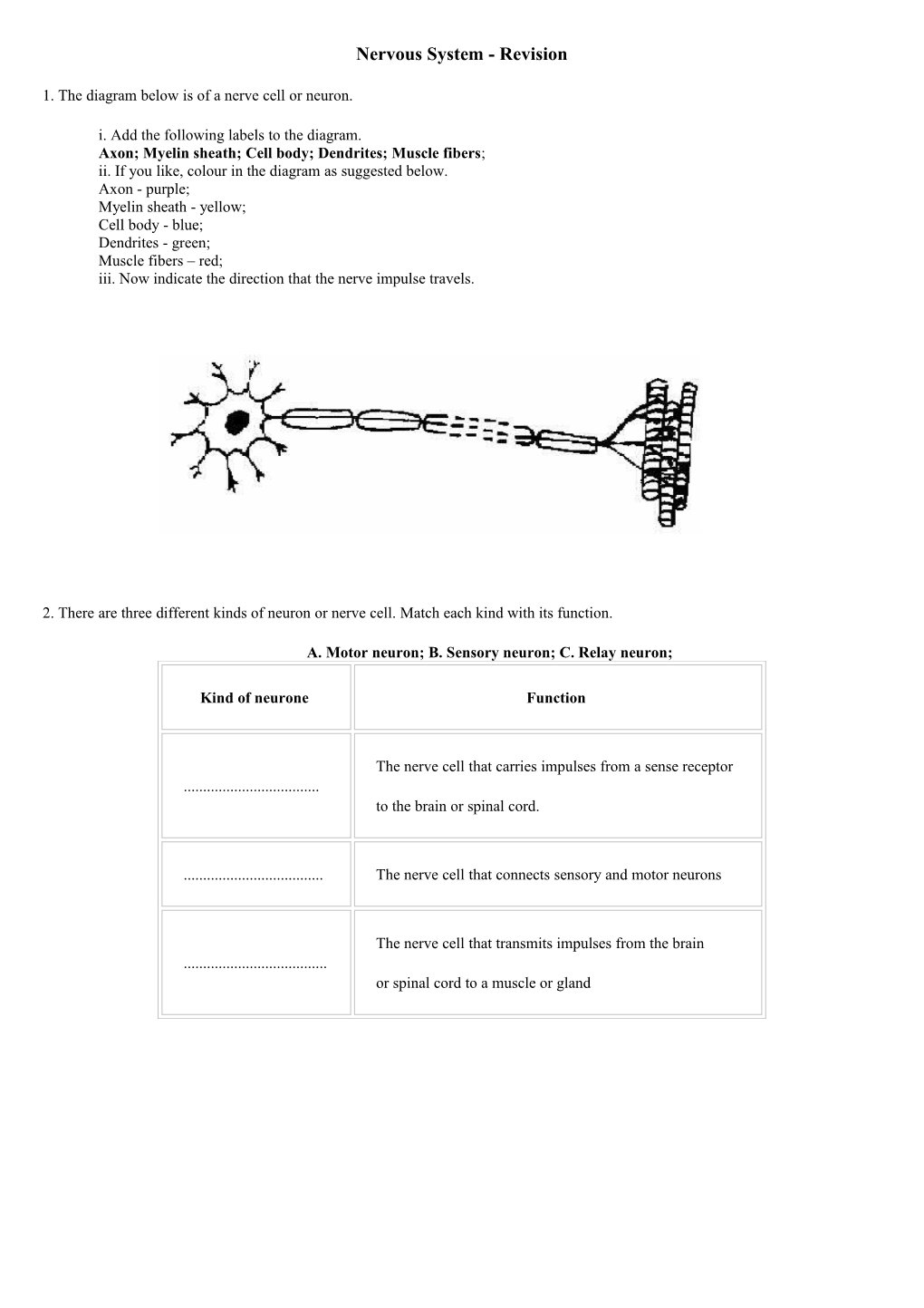 Nervous System - Revision