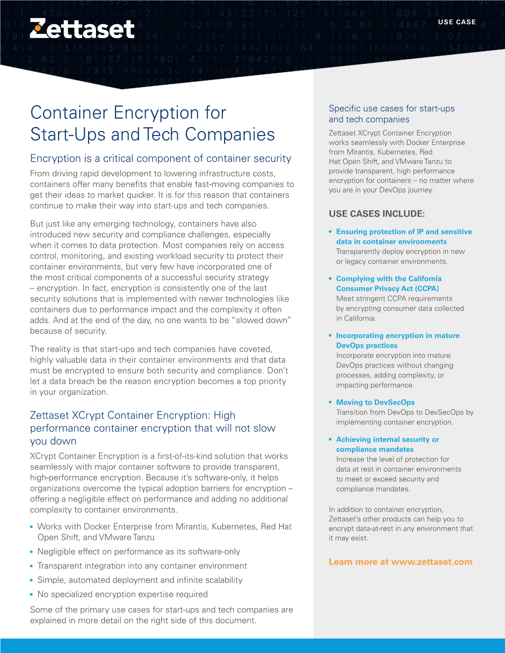 Container Encryption for Start-Ups and Tech Companies USE CASE