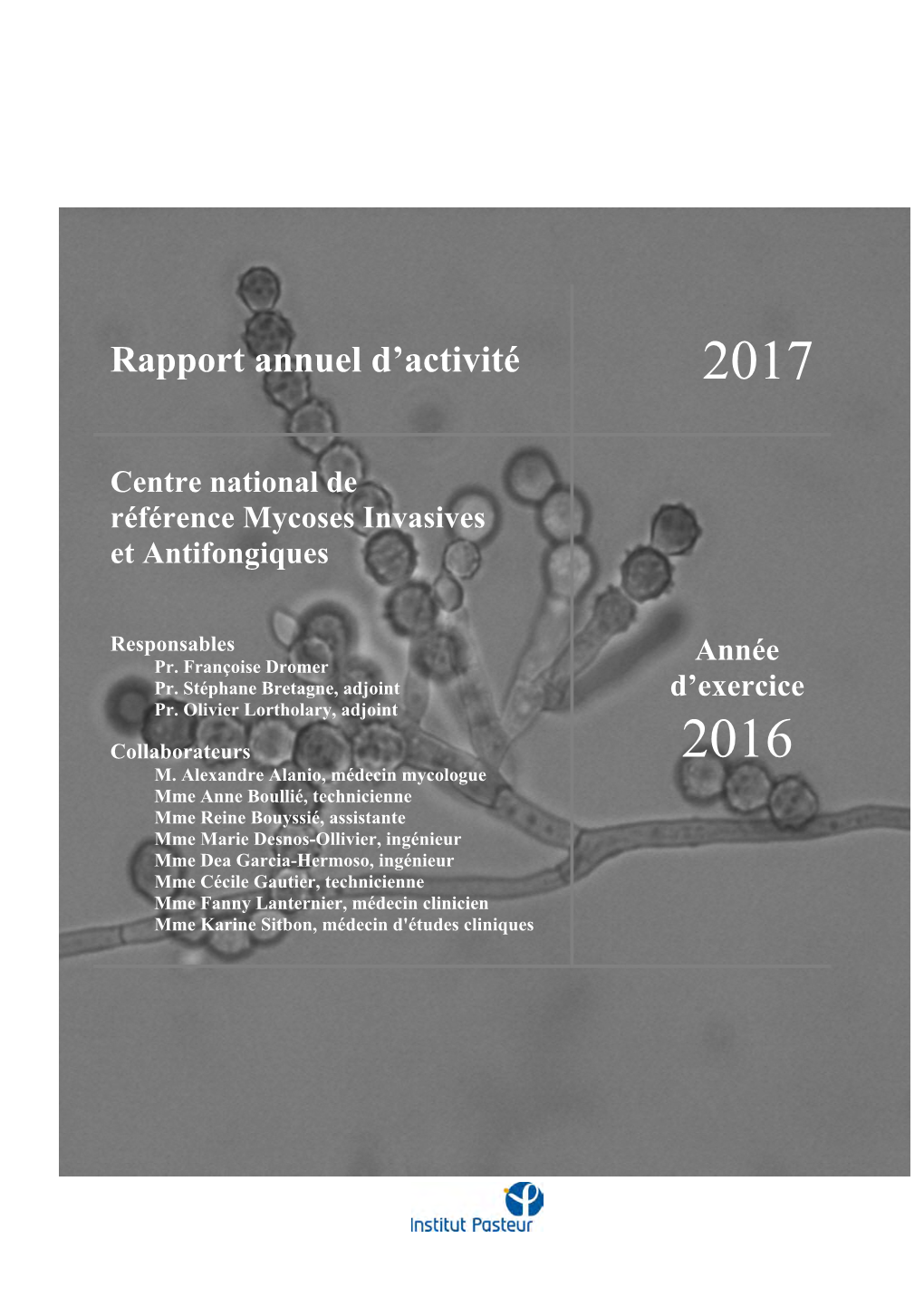 Rapport Annuel D'activité