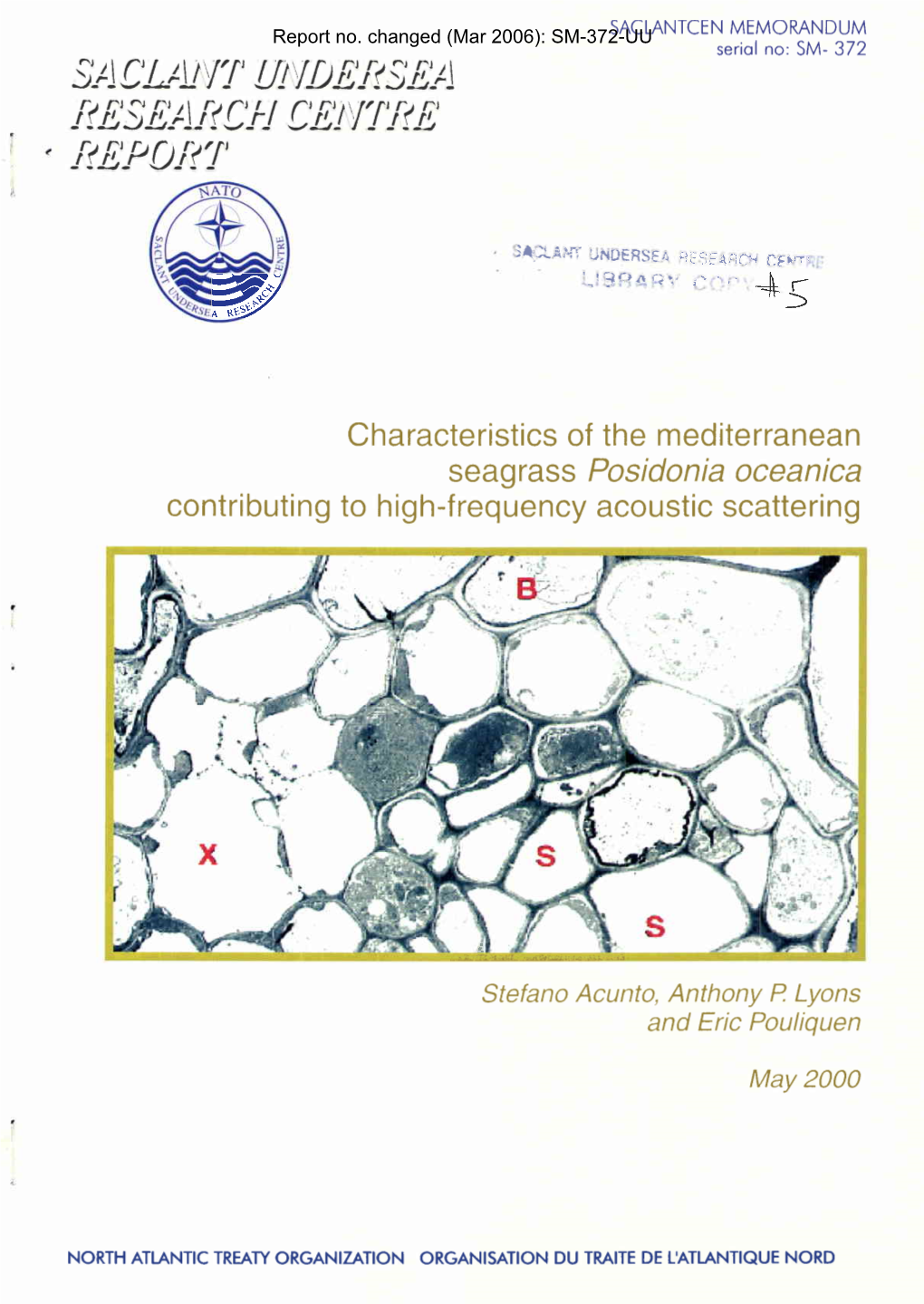 Characteristics of the Mediterranean Seagrass Posidonia Oceanica Contributing to High Frequency Acoustic Scattering