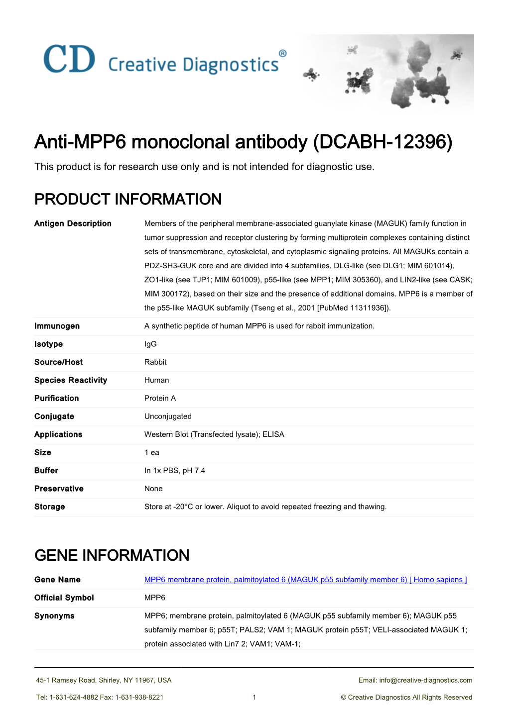 Anti-MPP6 Monoclonal Antibody (DCABH-12396) This Product Is for Research Use Only and Is Not Intended for Diagnostic Use